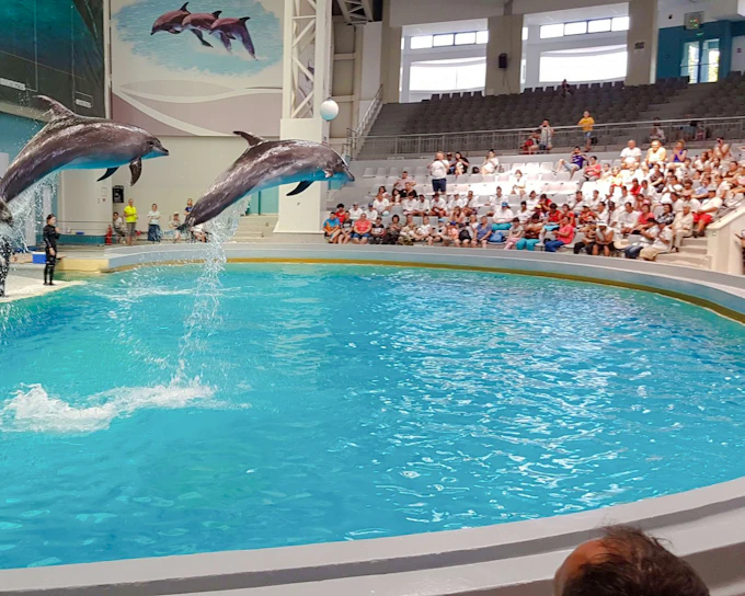Constan葲a: Dolphinarium Show Tickets, Microreservation Access & Hydrobike Rental