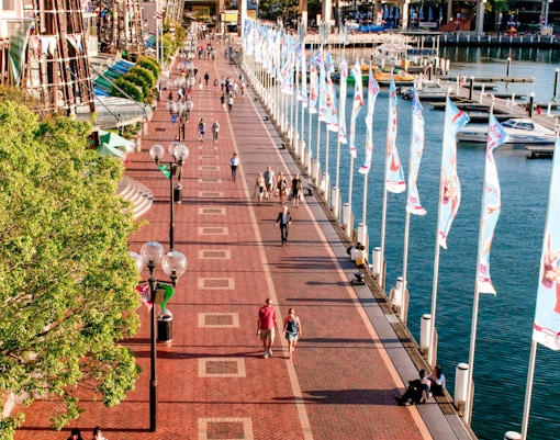 Pedestrian walkway along Darling Harbour with flags and waterfront views.