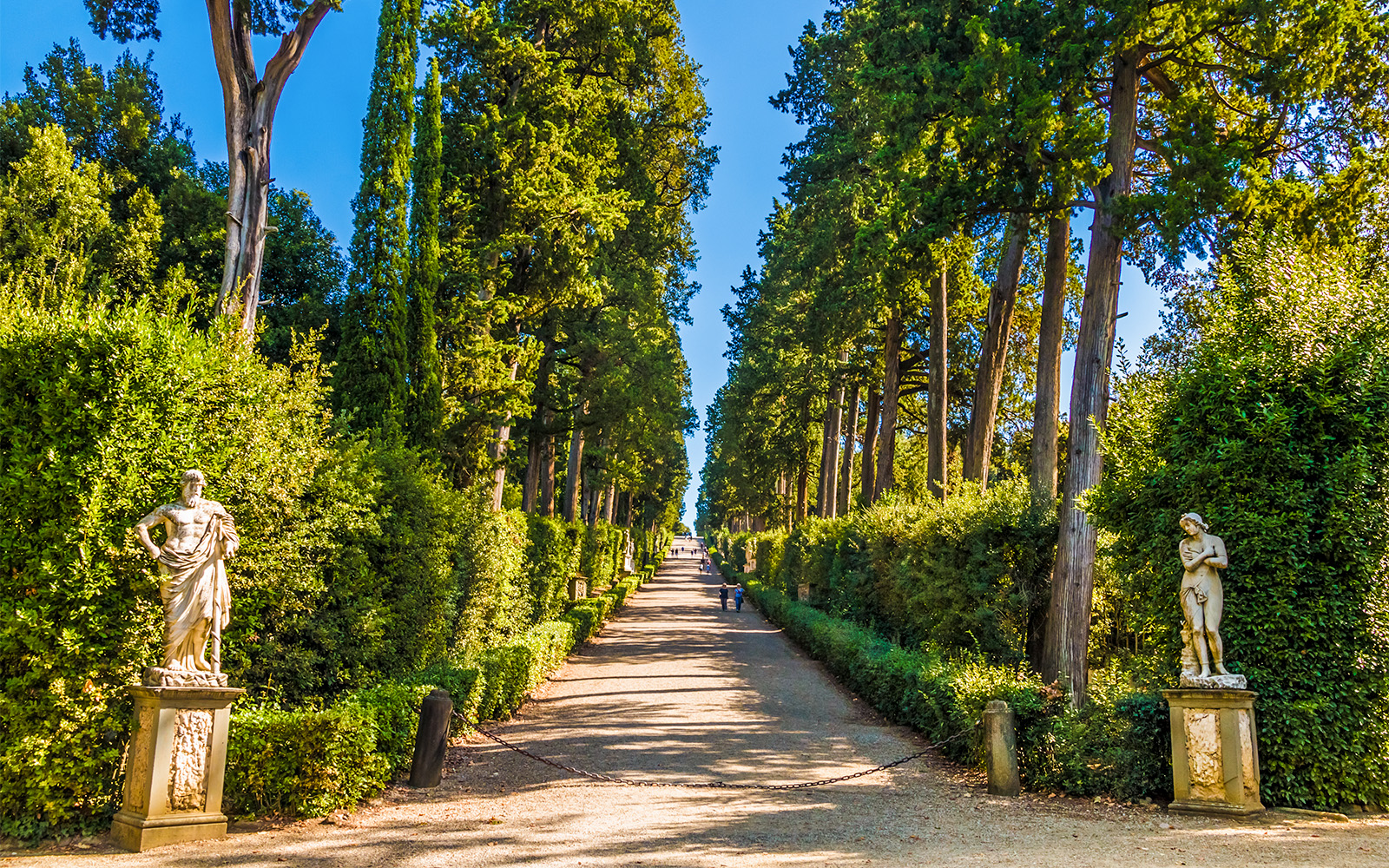 Pathway lined with statues and tall trees in Boboli Gardens, Florence.