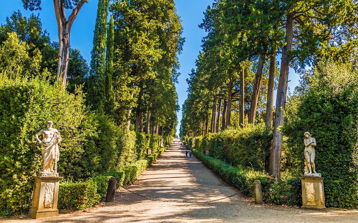 Pathway lined with statues and tall trees in Boboli Gardens, Florence.
