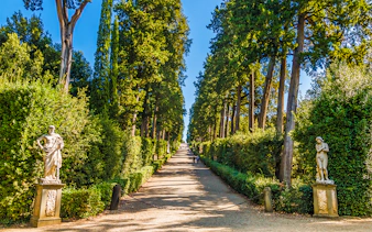 Pathway lined with statues and tall trees in Boboli Gardens, Florence.