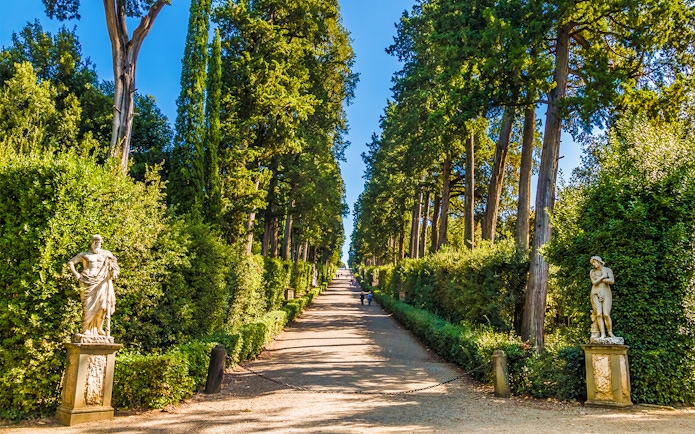 Pathway lined with statues and tall trees in Boboli Gardens, Florence.