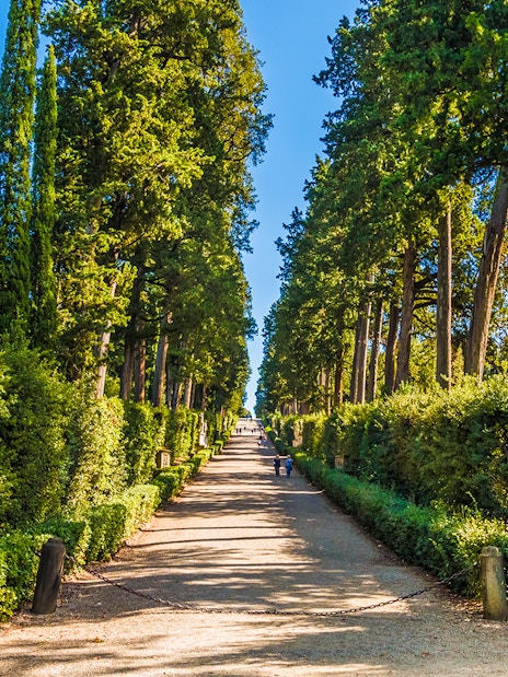 Pathway lined with statues and tall trees in Boboli Gardens, Florence.