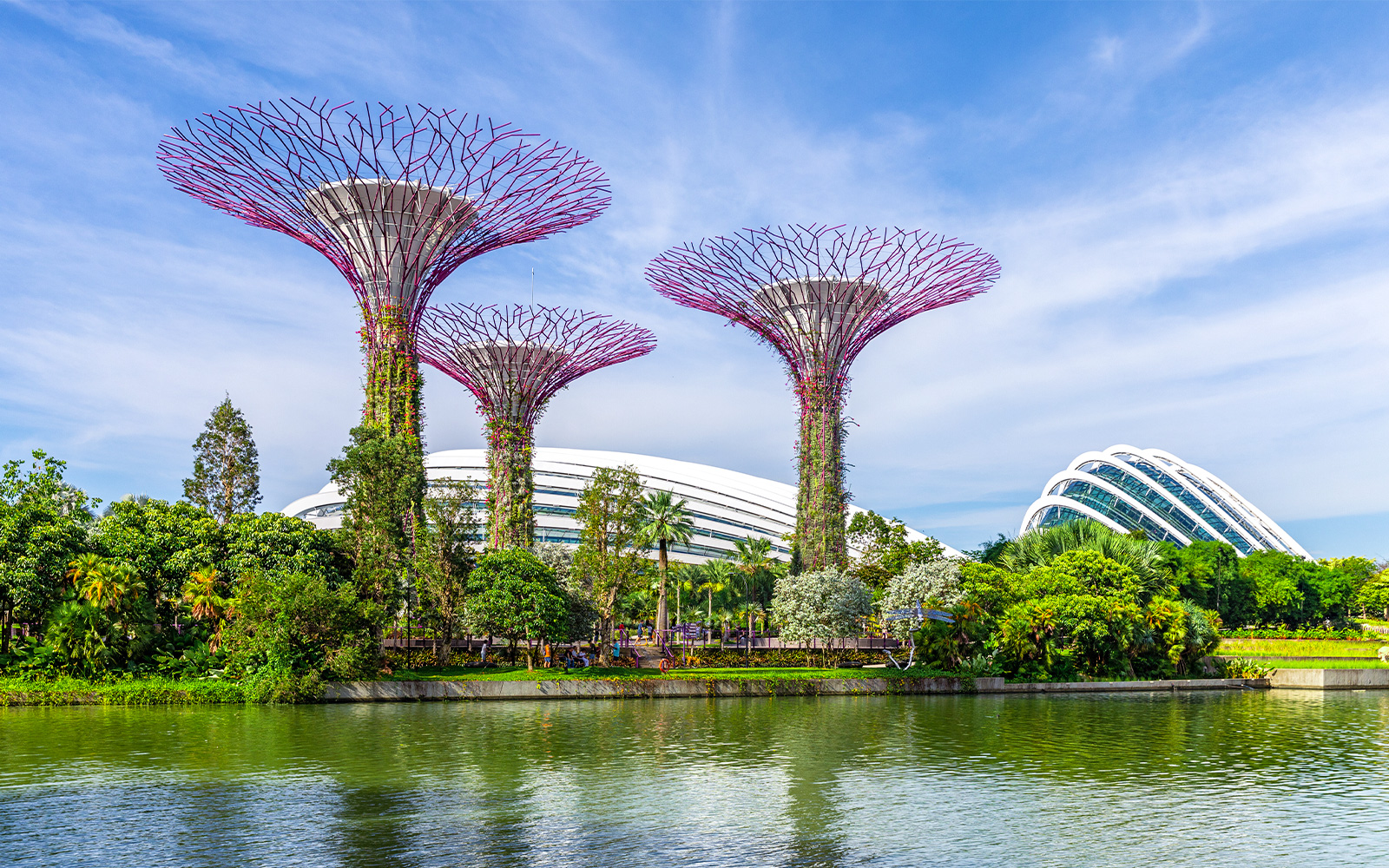 Gardens by the Bay