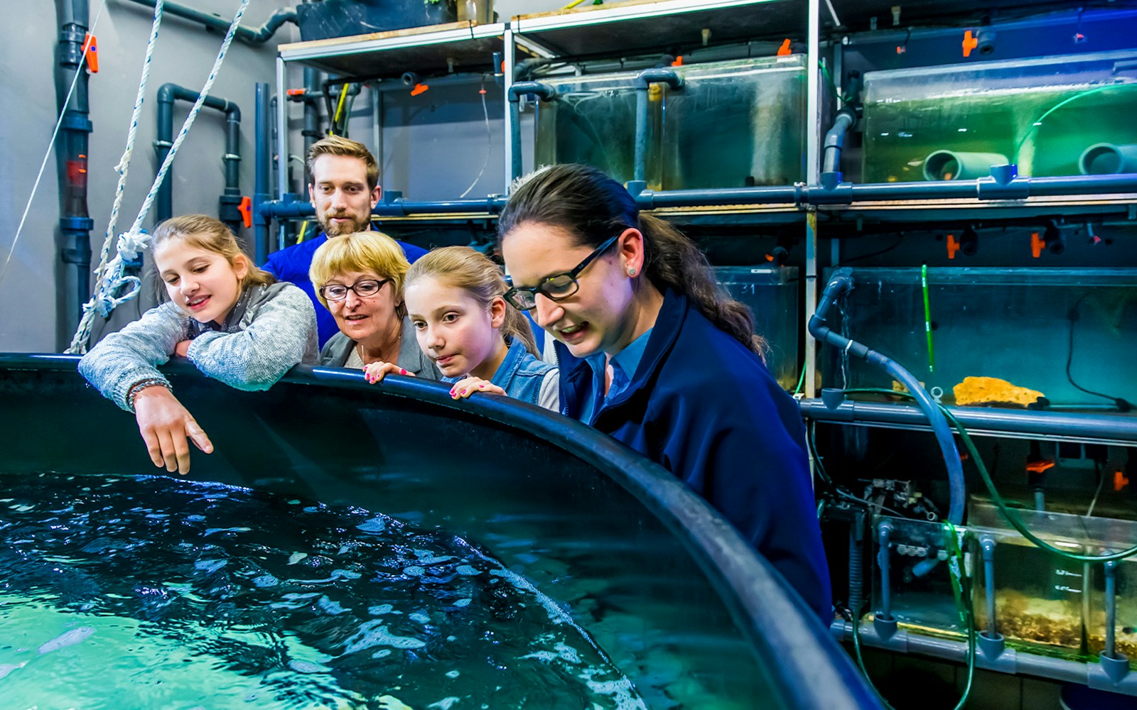 Guests observing aquatic life on the SEA LIFE London Behind the Scenes Tour.