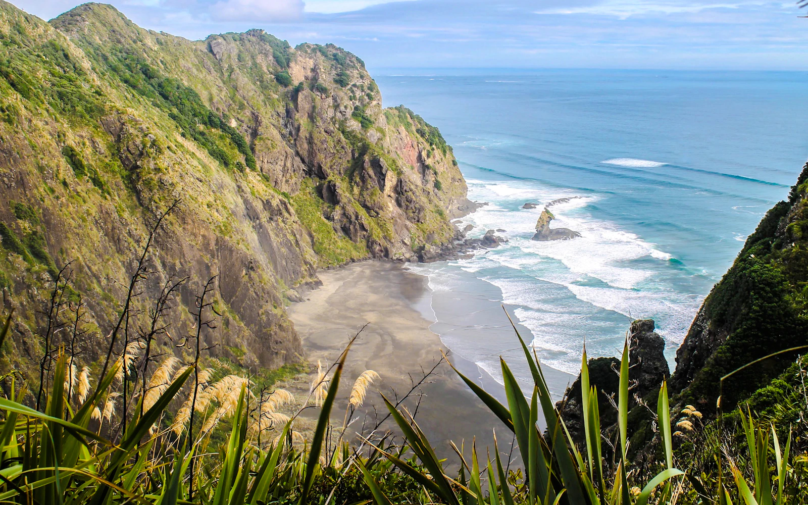 Piha Beach, Rainforest and Mount Eden Private Guided Tour from Auckland Image 2