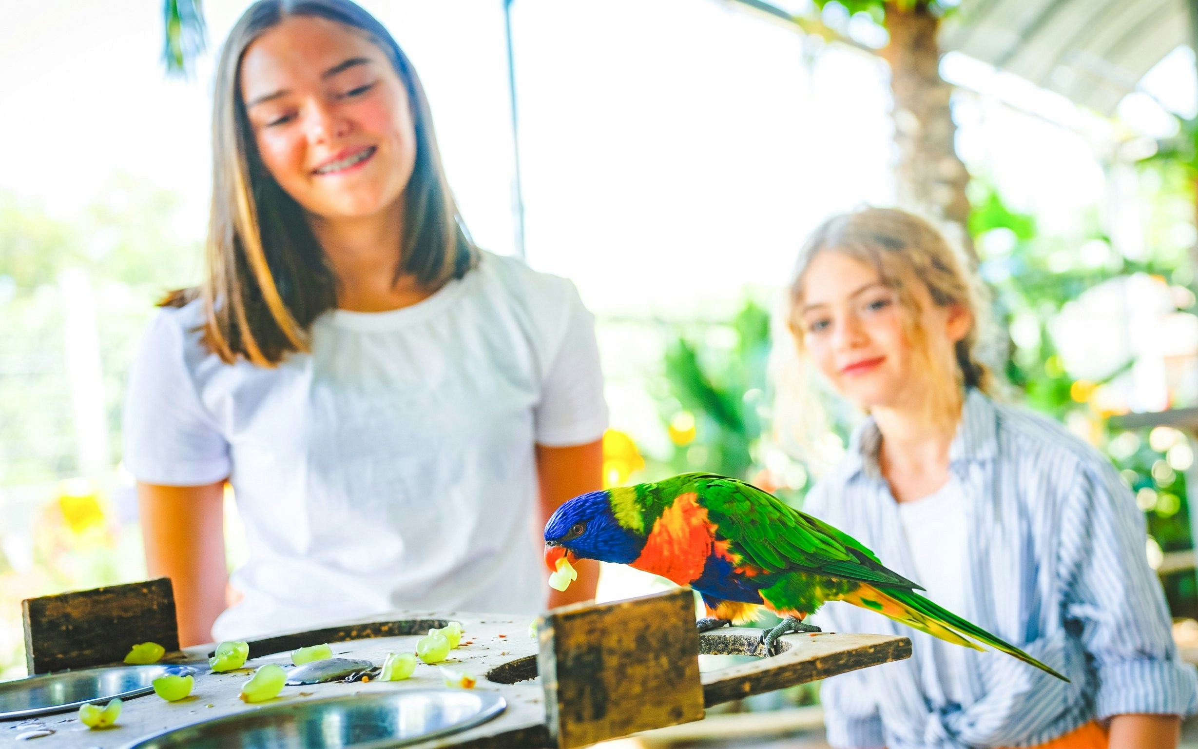 Colorful parrot eating at Jardin d'acclimatation La Grande Volière with two children observing.