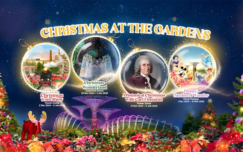 Christmas events at Gardens by the Bay featuring train show, Christmas Wonderland, and Disney Garden of Wonder.