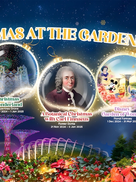 Christmas events at Gardens by the Bay featuring train show, Christmas Wonderland, and Disney Garden of Wonder.