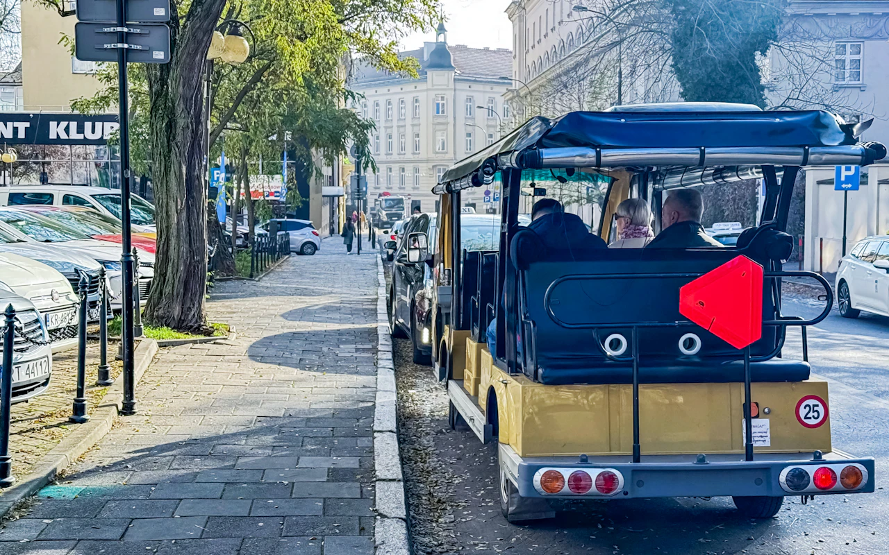 Altstadtbesichtigung mit dem Golfmobil + geführte Tour durch das Wawel-Schloss — 6