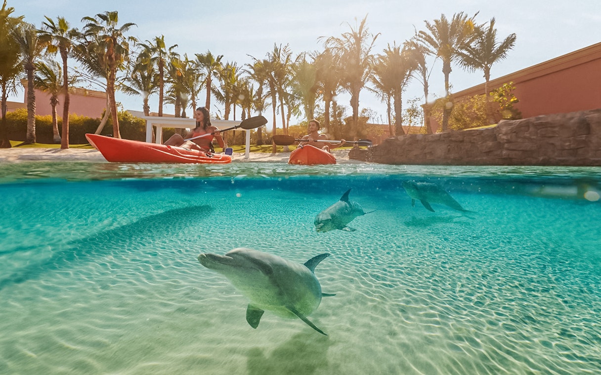 Tourists kayaking with dolphins at Atlantis, The Palm, Dubai.