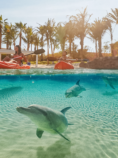 Tourists kayaking with dolphins at Atlantis, The Palm, Dubai.