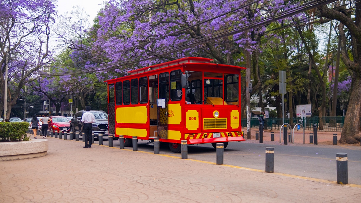 Tram passing through vibrant streets of Mexico City with historic buildings in the background.