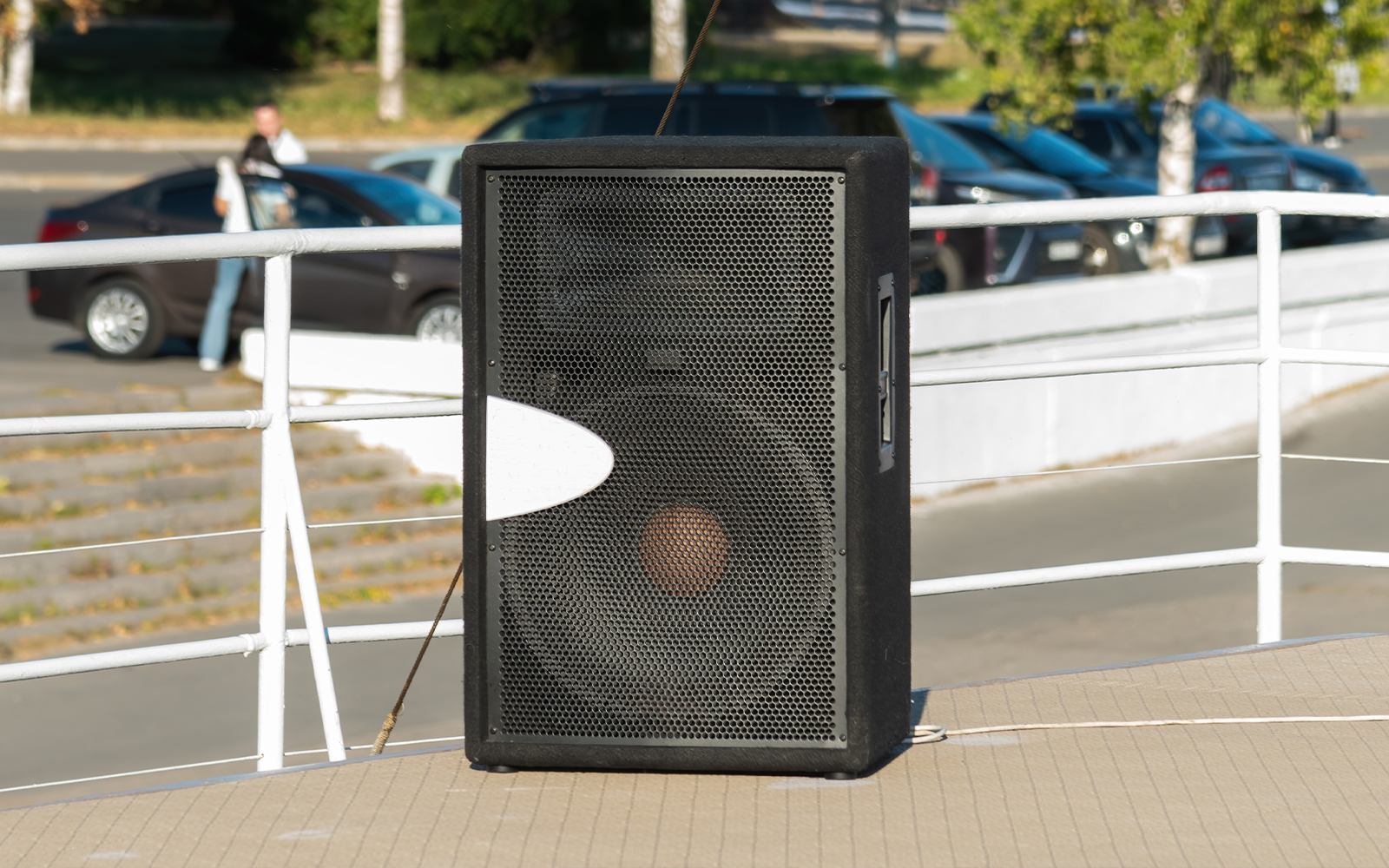 Boat tour with music speaker.
