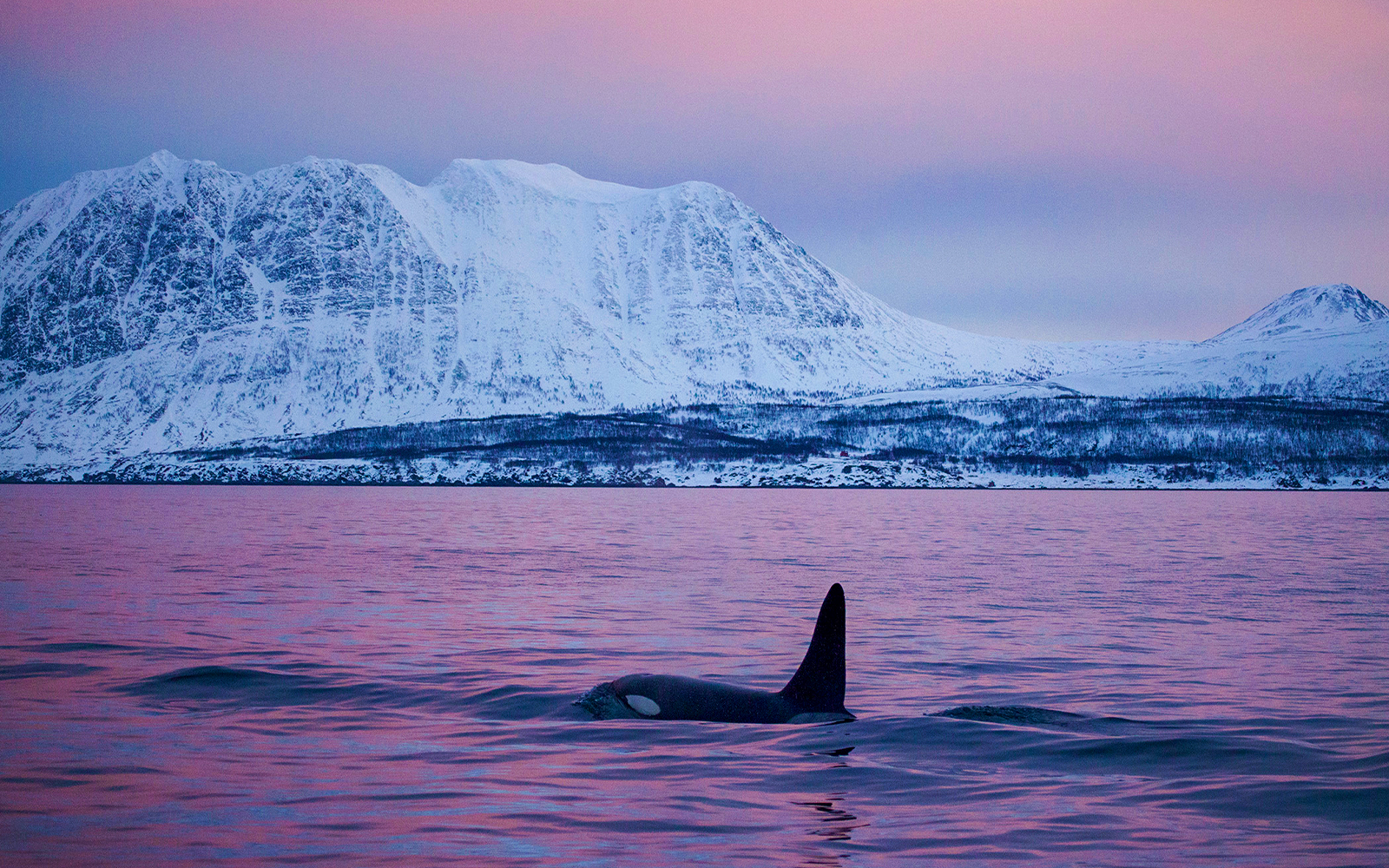 Weather & daylight considerations