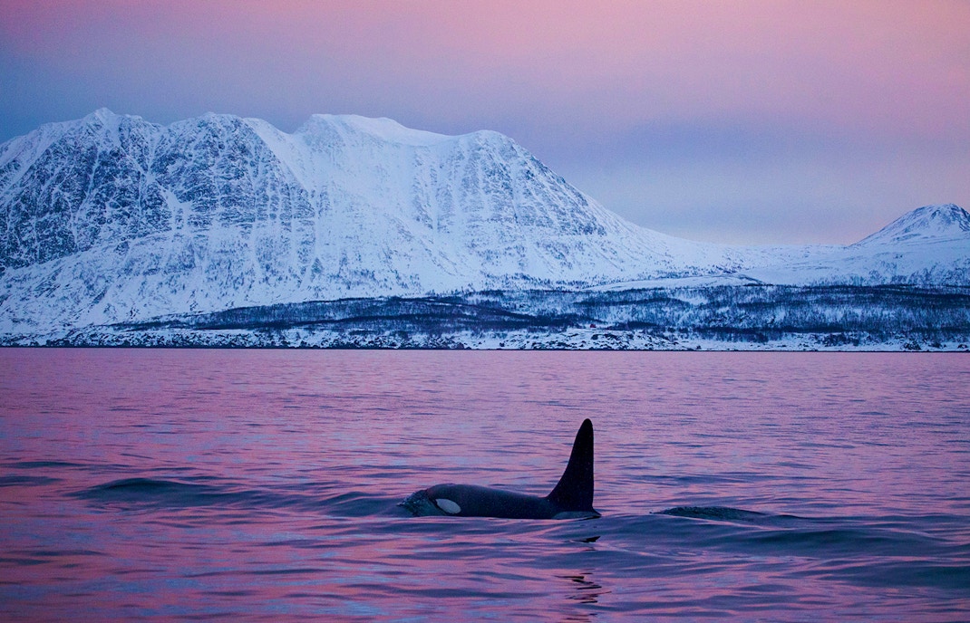 Weather & daylight considerations