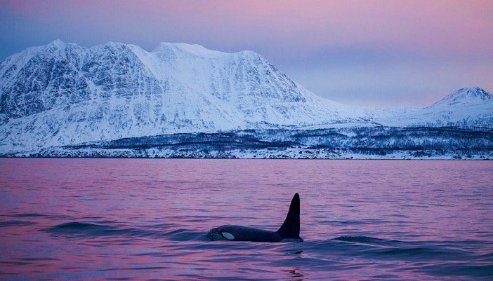Tromso in spring (March to May)
