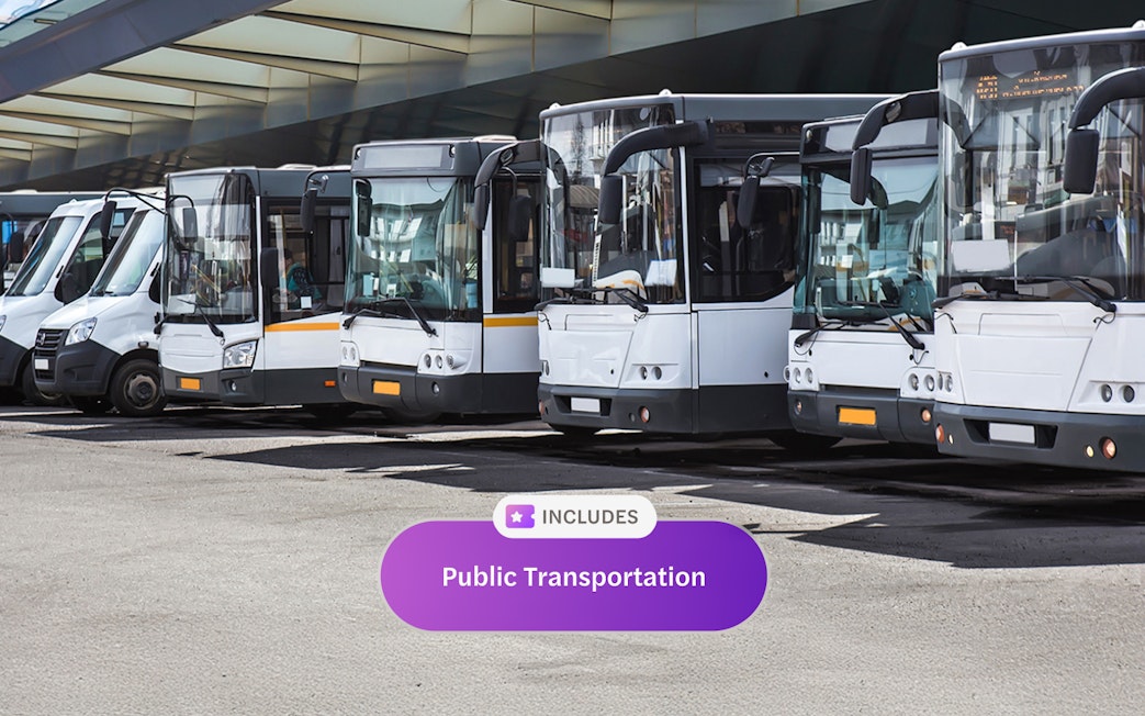 Buses lined up at a terminal, part of Rome Super Pass public transport.