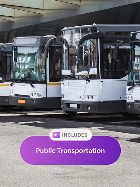 Buses lined up at a terminal, part of Rome Super Pass public transport.