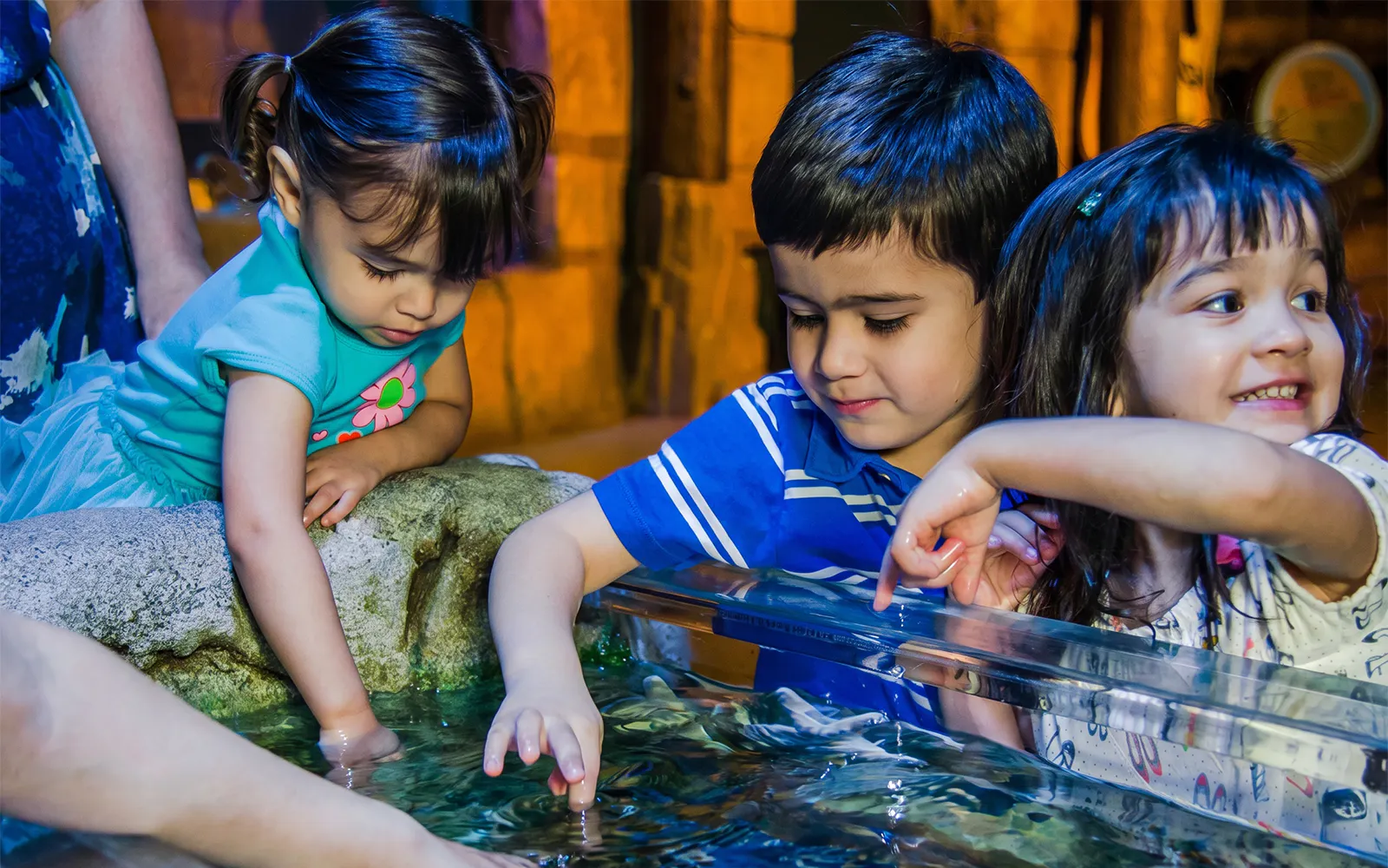 Children exploring touch pool at Sea Life New Jersey.