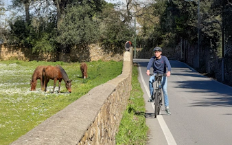 Tourist on e-bike near Florence observing horses in a field.