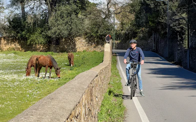 Tourist on e-bike near Florence observing horses in a field.