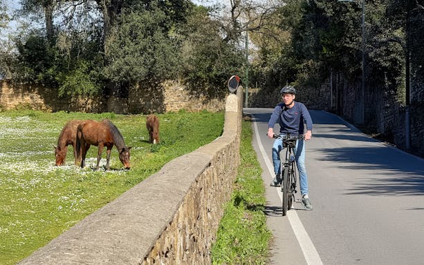 Tourist on e-bike near Florence observing horses in a field.