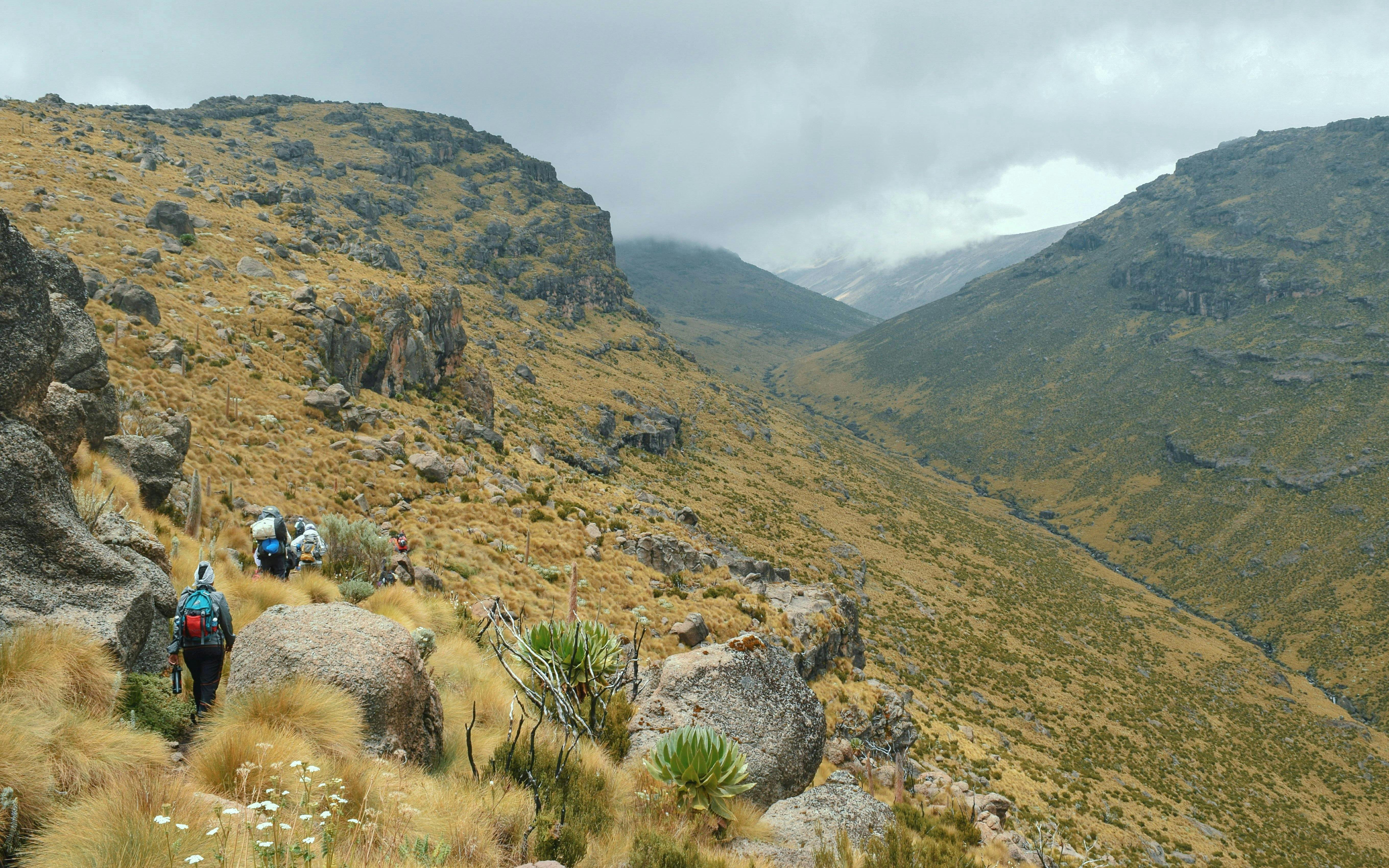 Hikers trekking through Mackinder's Valley, Mount Kenya, surrounded by rocky terrain and vegetation.