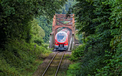 Train crossing a bridge surrounded by lush greenery in Germany, part of the Interrail Germany Mobile Pass Flex.