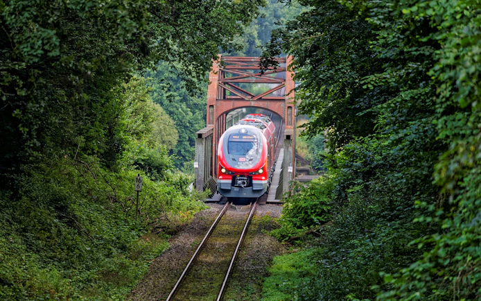 Train crossing a bridge surrounded by lush greenery in Germany, part of the Interrail Germany Mobile Pass Flex.