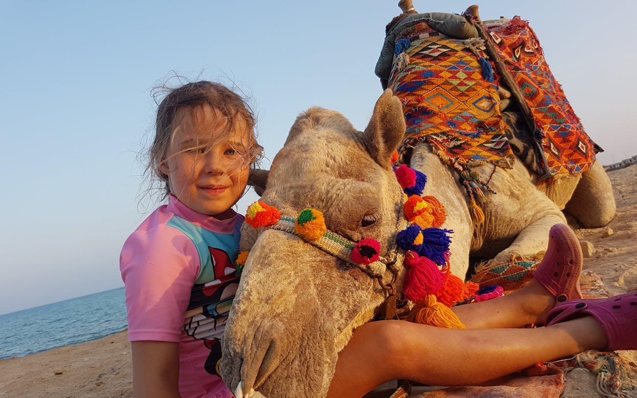 plimbare pe cămilă de 2 ore, pachet premium: deșert și mare uimitoare - hurghada-4