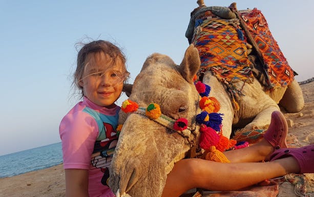plimbare pe cămilă de 2 ore, pachet premium: deșert și mare uimitoare - hurghada-4