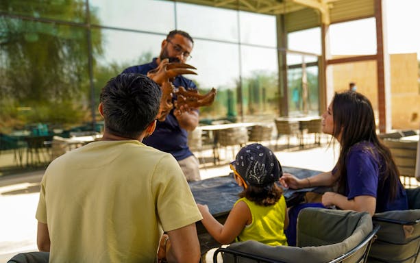 Tour guide showing fossil to visitors at Mleiha Fossil Hunt Expedition.