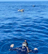 Atlantic Ocean, off Terceira