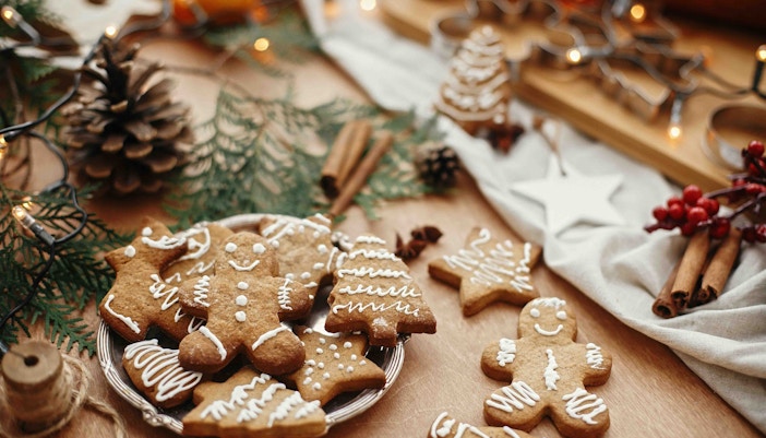 schonbrunn palace christmas market