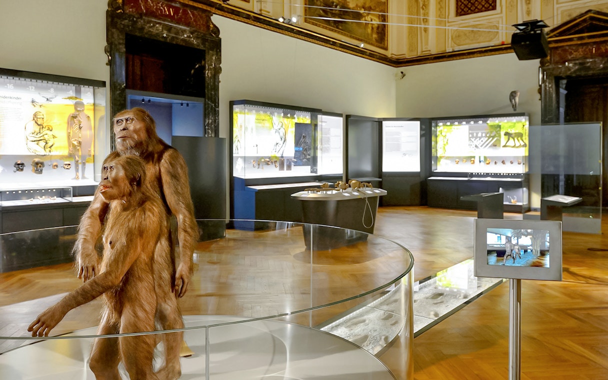 Exhibit of early human ancestors at Natural History Museum, Vienna.
