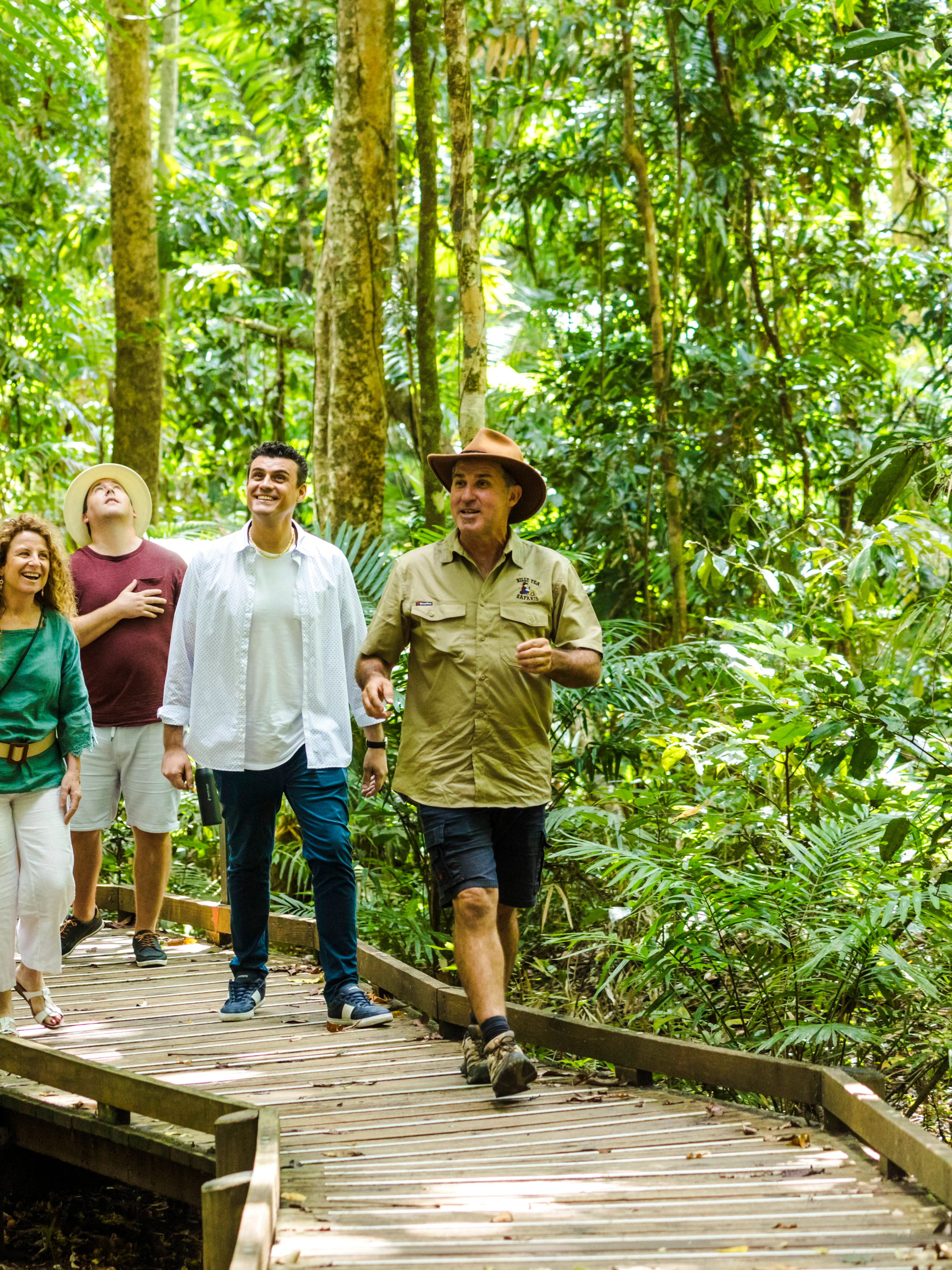 Group walking on a boardwalk through Daintree Rainforest with Billy Tea Safaris guide.