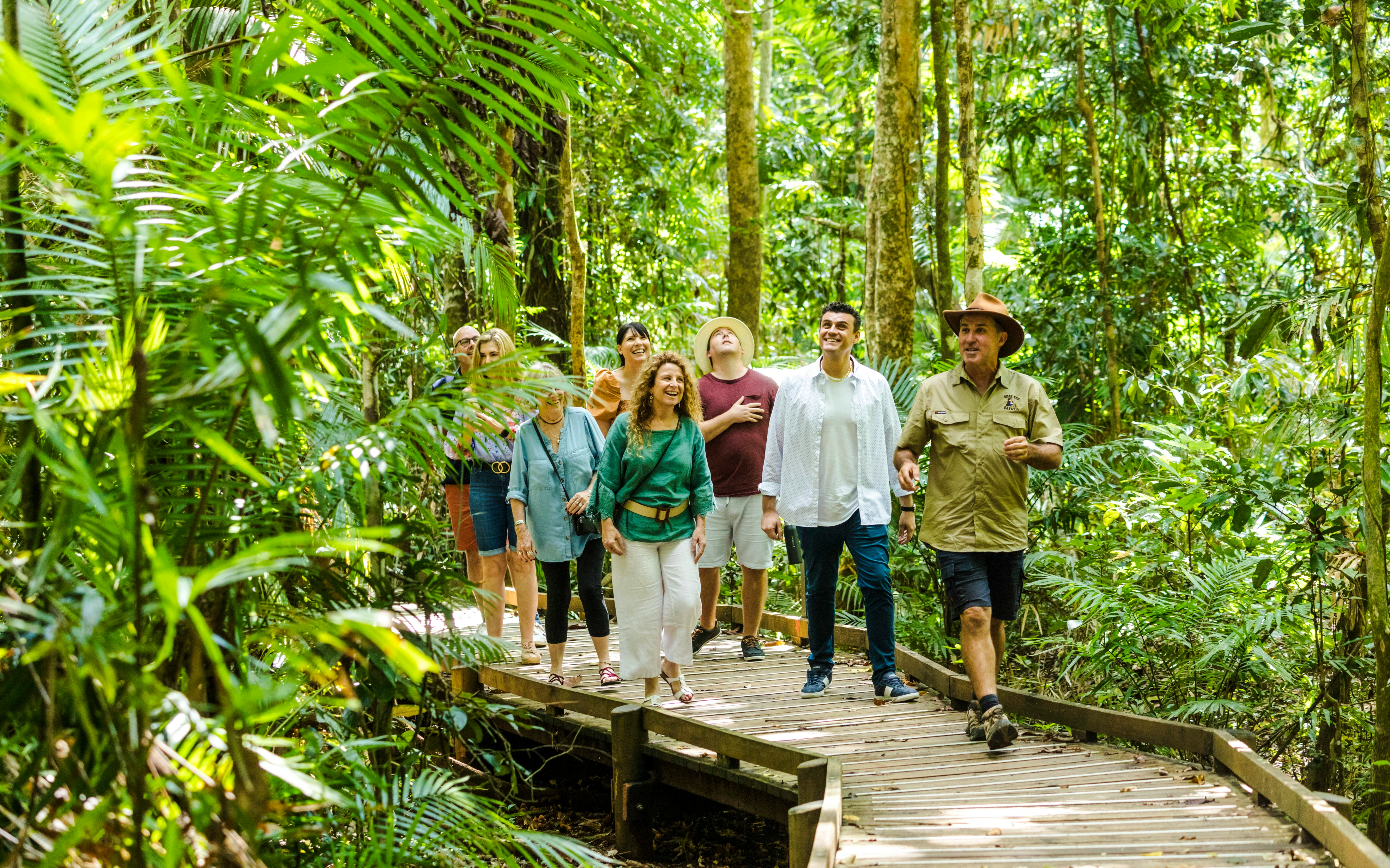 Group walking on a boardwalk through Daintree Rainforest with Billy Tea Safaris guide.