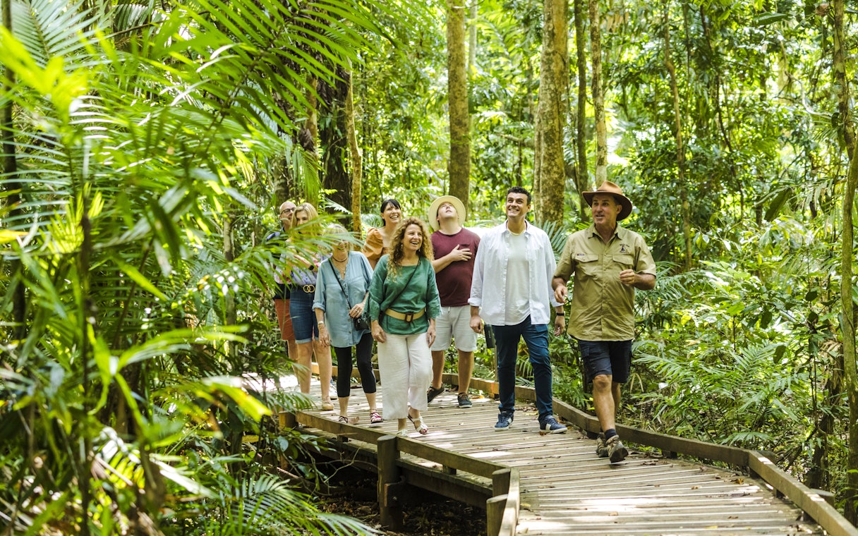 Group walking on a boardwalk through Daintree Rainforest with Billy Tea Safaris guide.