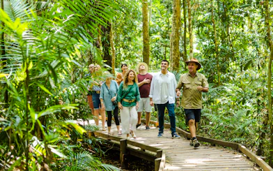 Group walking on a boardwalk through Daintree Rainforest with Billy Tea Safaris guide.