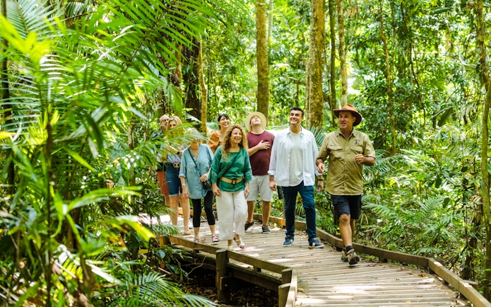 Group walking on a boardwalk through Daintree Rainforest with Billy Tea Safaris guide.