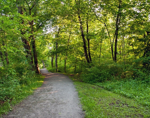 Pathway through Dufferin Islands Park, Niagara Falls, Ontario, Canada, surrounded by lush greenery.