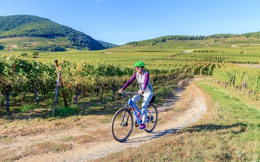 Cyclist on e-bike through Chianti vineyards during guided tour.
