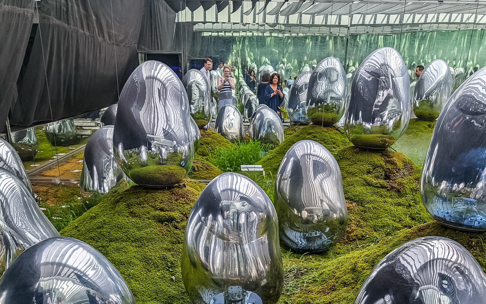 Moss garden illuminated by colorful lights at teamlabs exhibit in Tokyo