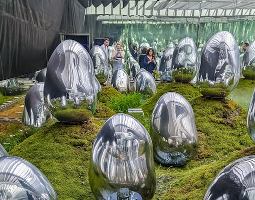 Moss garden illuminated by colorful lights at teamlabs exhibit in Tokyo