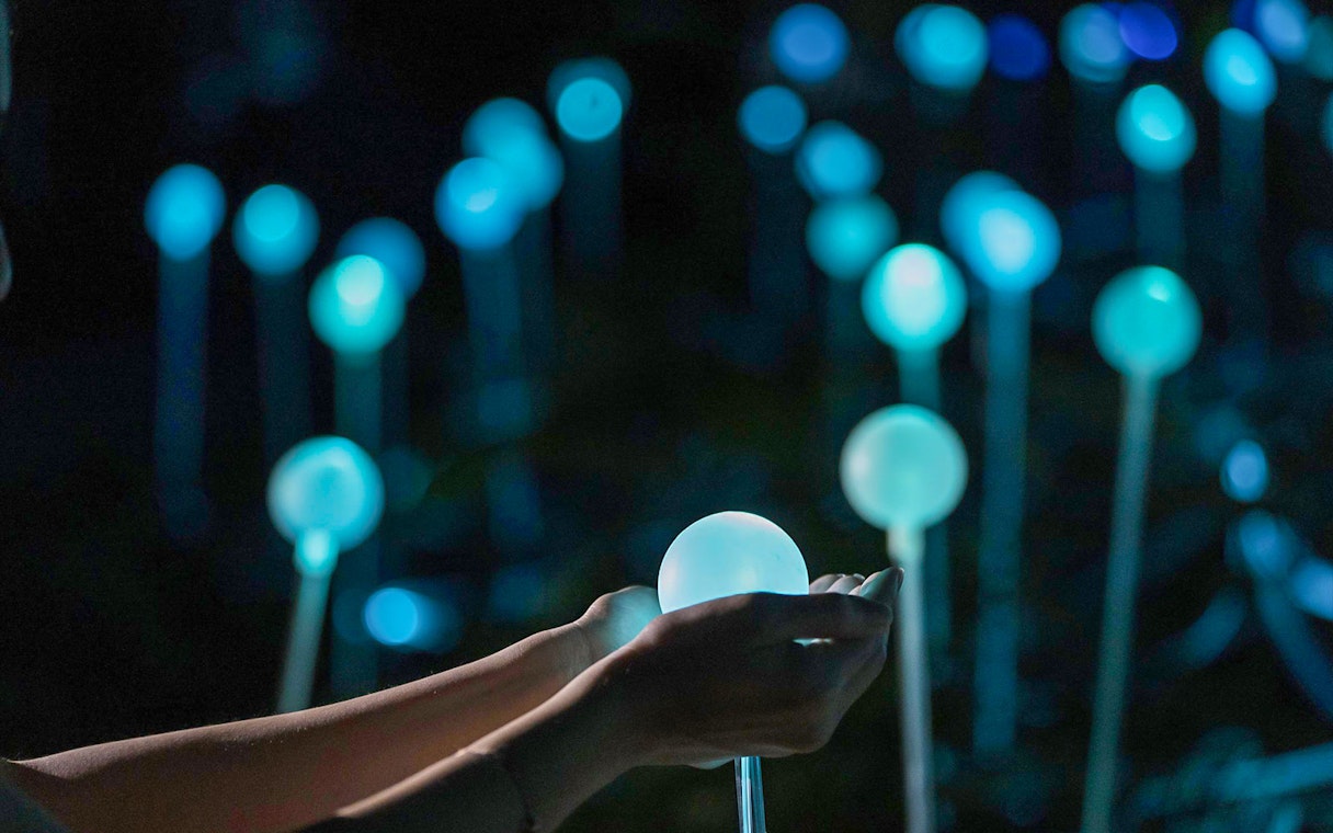 Hands holding glowing orb in Dream Forest light display.