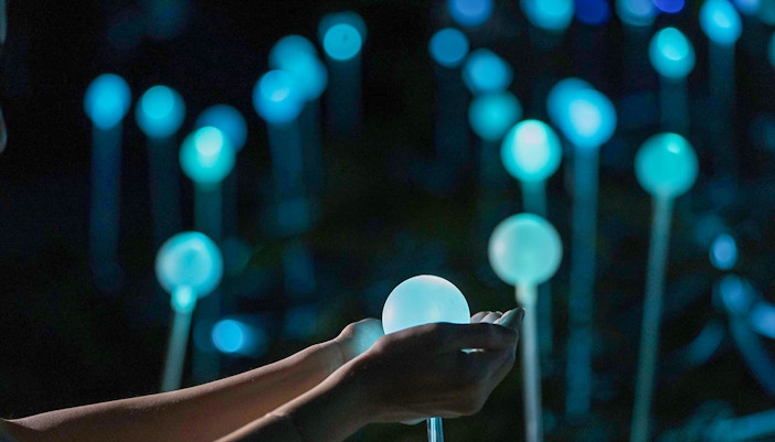 Dream Forest Langkawi Tickets