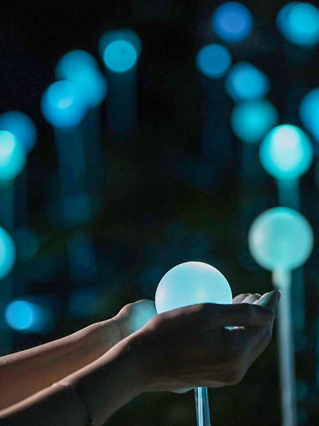 Hands holding glowing orb in Dream Forest light display.