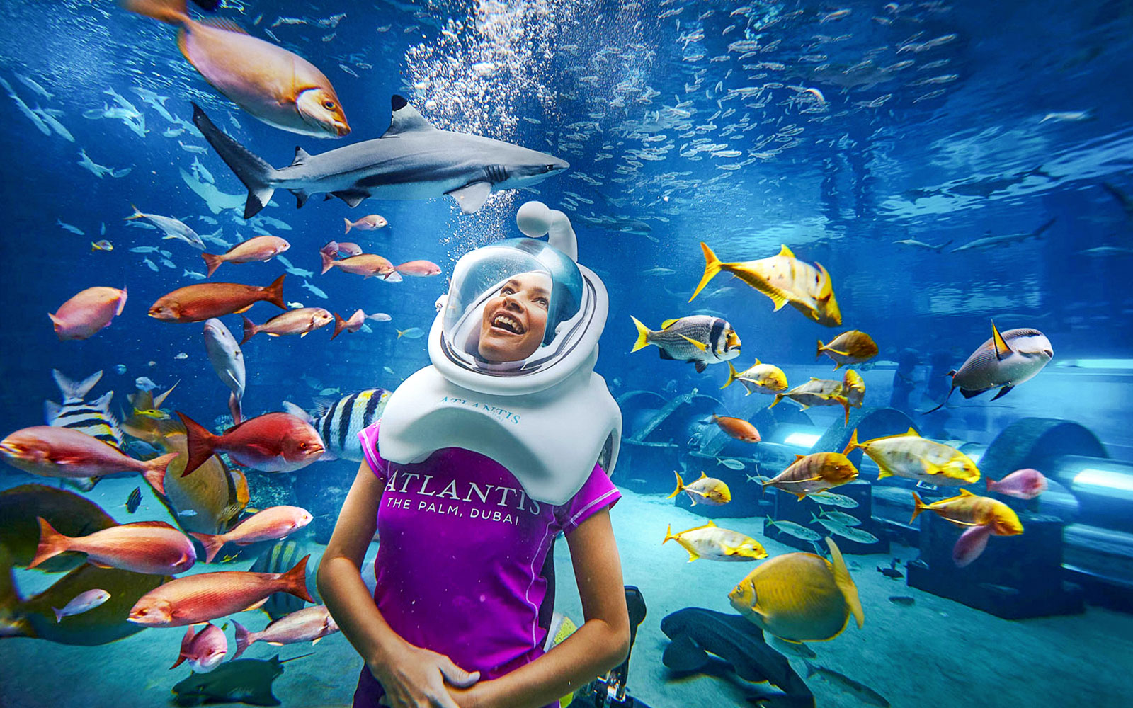 Tourist scuba diving with fish at Atlantis, The Palm, Dubai.