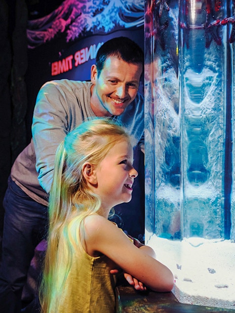 Guests observing starfish at SEA LIFE London aquarium.